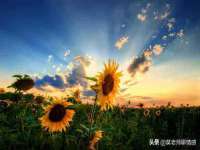 南京晟汇服饰有限公司
