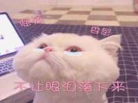 南京晟汇服饰有限公司