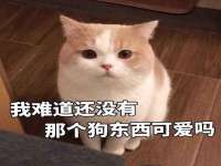 南京晟汇服饰有限公司