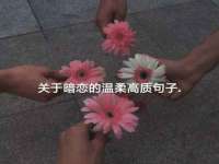 南京晟汇服饰有限公司