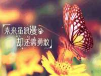 南京晟汇服饰有限公司