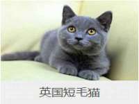 南京晟汇服饰有限公司