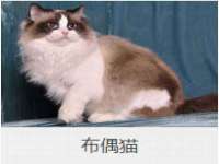 南京晟汇服饰有限公司