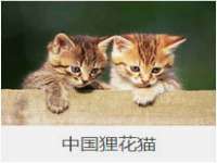 南京晟汇服饰有限公司