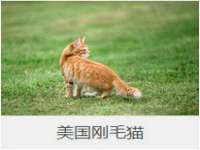 南京晟汇服饰有限公司