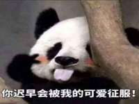 南京晟汇服饰有限公司