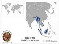 南京晟汇服饰有限公司