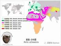 南京晟汇服饰有限公司