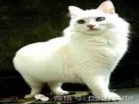 南京晟汇服饰有限公司