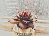 南京晟汇服饰有限公司