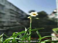 南京晟汇服饰有限公司