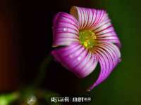 南京晟汇服饰有限公司