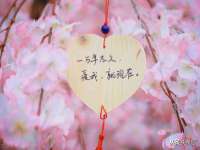南京晟汇服饰有限公司