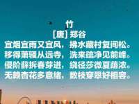 南京晟汇服饰有限公司