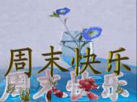 南京晟汇服饰有限公司