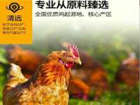 南京晟汇服饰有限公司