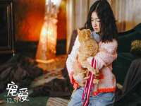 南京晟汇服饰有限公司