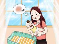 南京晟汇服饰有限公司