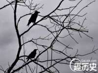 南京晟汇服饰有限公司