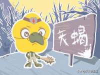 南京晟汇服饰有限公司