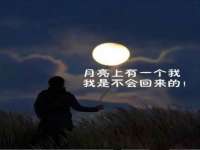 南京晟汇服饰有限公司