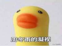 南京晟汇服饰有限公司