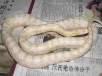 南京晟汇服饰有限公司